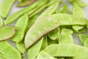 �ⶹ�Ĺ�Ч������