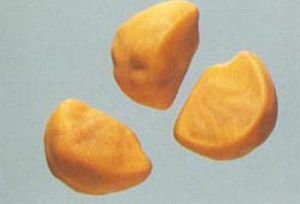 �׳�Ĺ�Ч������