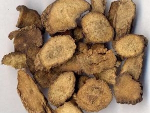 ţϥ�Ĺ�Ч������