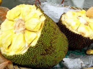 �����۵Ĺ�Ч������