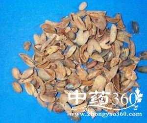 <a href='https://www.zhongyao360.com/z/badou/' target='_blank'>Ͷ</a>ĹЧ