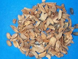 �Ͷ��Ĺ�Ч������