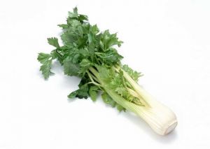 �۲˵Ĺ�Ч������