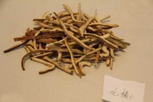 �ٺ�Ĺ�Ч������