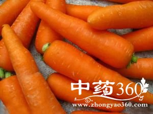 萝卜的功效与作用