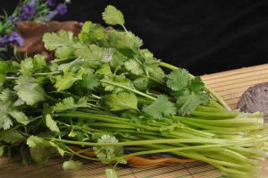 ��˵Ĺ�Ч������