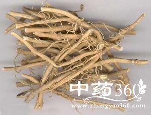 <a href='https://m.zhongyao360.com/z/baiqian/'>ǰ</a>ĹЧ