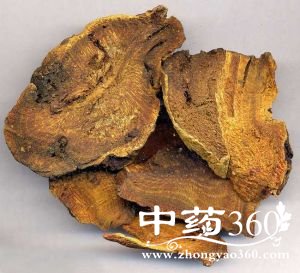 川军的功效与作用