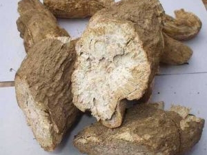 �����Ĺ�Ч������