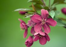 ����͹�Ч������