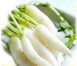 �ܲ����԰�������������̵