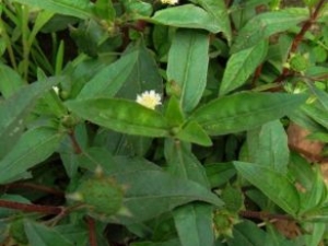 �����ݵĹ�Ч������