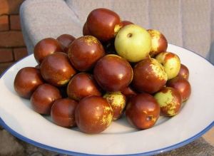 ����Ĺ�Ч������