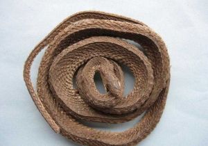 �����ߵĹ�Ч������