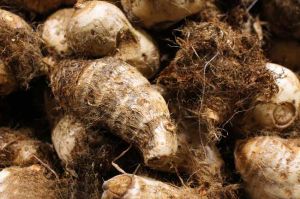 ë��ͷ�Ĺ�Ч������