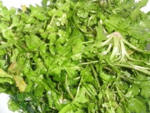 ���˶�����Щ������Ч