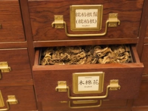 �г�ҩ��������ѵ������ ��������ҲҪ�кõ���̬