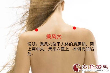 秉风穴位位置图 秉风穴位位置图