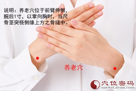 养老穴位位置图 养老穴位位置图