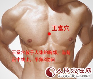玉堂穴位位置图 玉堂穴位位置图
