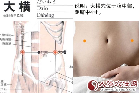 大横穴位位置图 大横穴位位置图