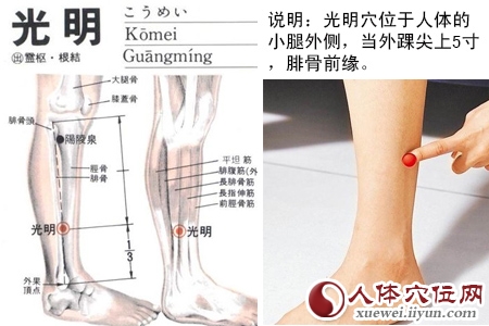 光明穴位位置图 光明穴位位置图