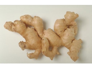 �����Ĺ�Ч������