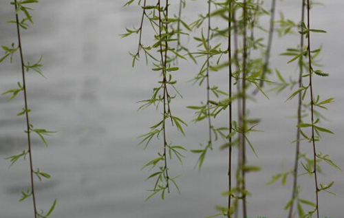 �������������빦�� ���ڷ�ʪ�������