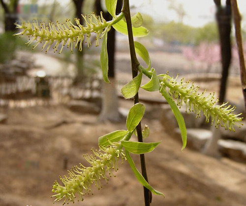 �������������빦�� ���ڷ�ʪ�������