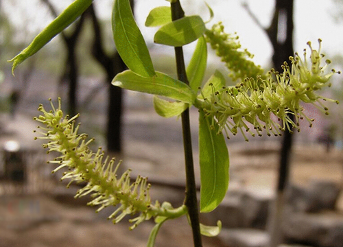 �������������빦�� ���ڷ�ʪ�������