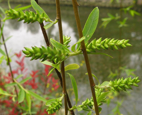 �������������빦�� ���ڷ�ʪ�������