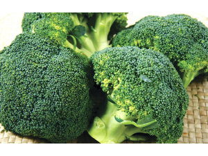 �̵��������Ĺ�Ч������