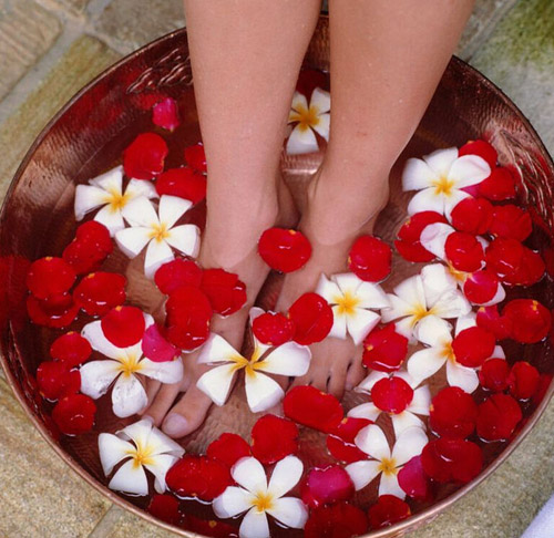 ݽŵĺôЩ ݽŵĹЧע