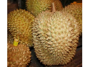 ��ô��ѡ���� �����Ĺ�Ч�����ý���