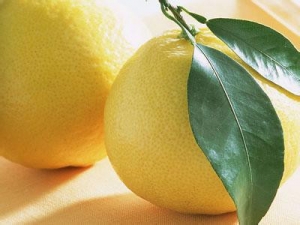 ���ӵĹ�Ч������ ���ӿɷ������з�