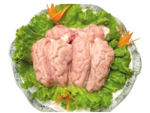 ����ʳ�� ������