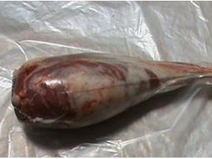 ����ʳ�� �����⣨���ȣ�