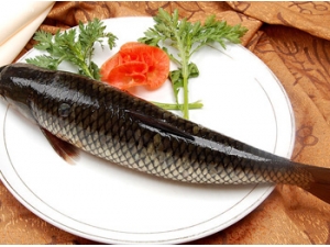 ����ʳ�� �� ����