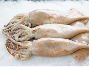 ����ʳ�� �����㣨�ʣ�