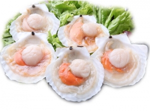 ʳ�Ĵ�ȫ �ȱ����ʣ�