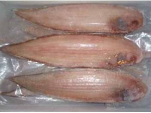 ʳ�Ĵ�ȫ ��Ŀ��