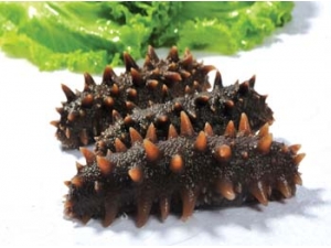 ����ʳ��  ���Σ�ˮ����