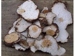 ����Ĺ�Ч|����|ʳ�÷���