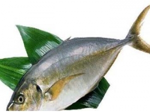 ��в����������