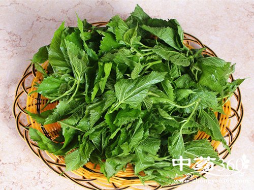 ɣҶˮЧ ɣҶˮϴʲôЧ