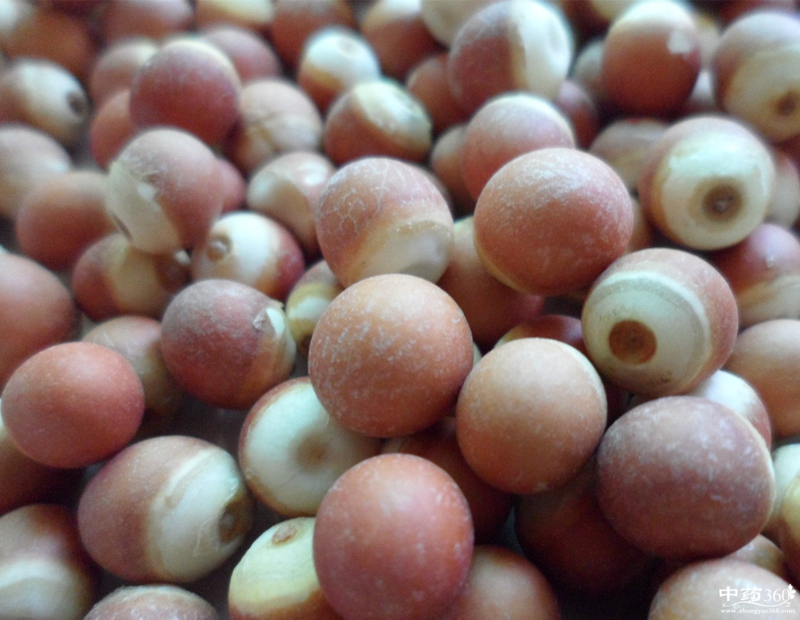 吃芡实有什么禁忌 孕妇可以吃芡实吗