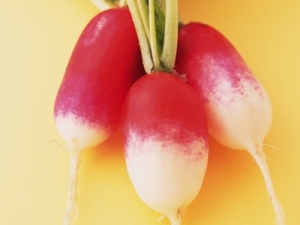 ���ò�ͬ���͵���ҩ���ܳ�ʲô