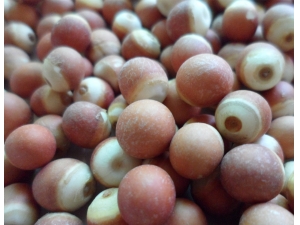 ����ʵ��ʲô���� �и����Գ���ʵ��