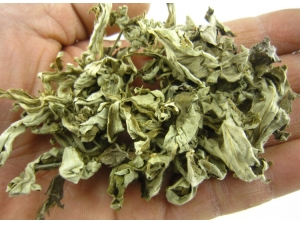 ��Ҷ������Ҷ�Ĺ�Ч Ԥ��Ƥ����