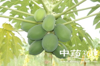 ����ľ�Ͽ��Է�����